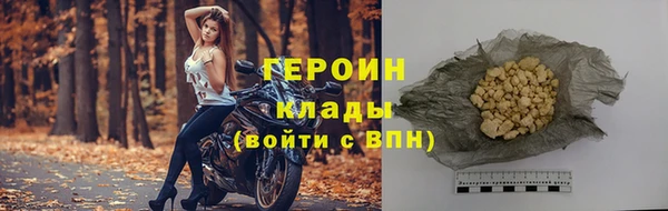 индика Няндома