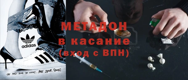 индика Няндома