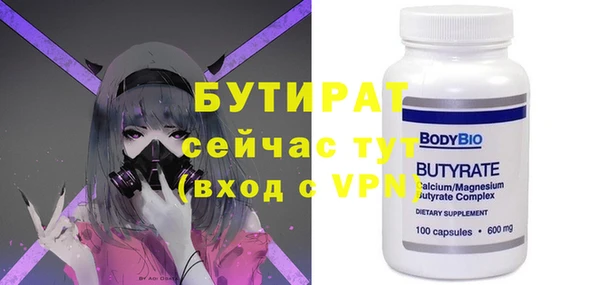 индика Няндома