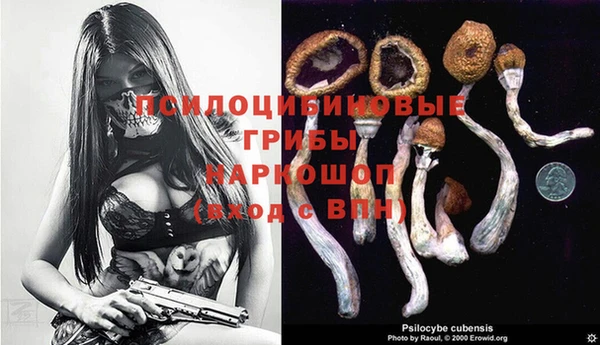 дурь Новозыбков