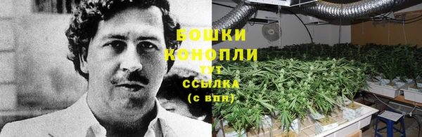 таблы Новодвинск