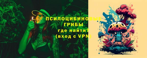 дурь Новозыбков