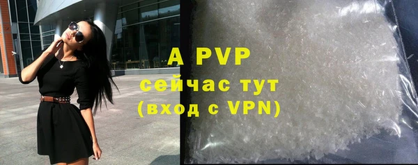 таблы Новодвинск