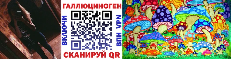 магазин  наркотиков  Нерчинск  Псилоцибиновые грибы MAGIC MUSHROOMS 